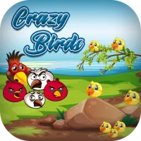 PLay Crazy Birds now!